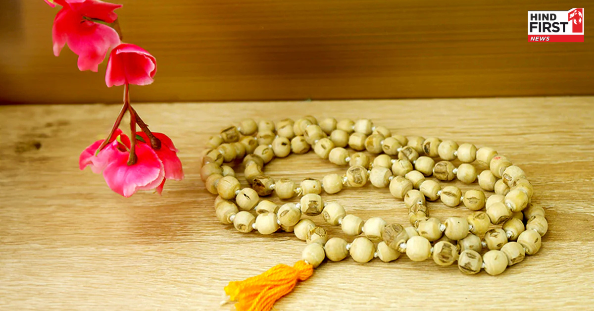 तुलसी माला धारण करते समय इन नियमों का करें पालन, अन्यथा खत्म हो सकती है इसकी ऊर्जा तुलसी माला धारण करते समय इन नियमों का करें पालन, अन्यथा खत्म हो सकती है इसकी ऊर्जा