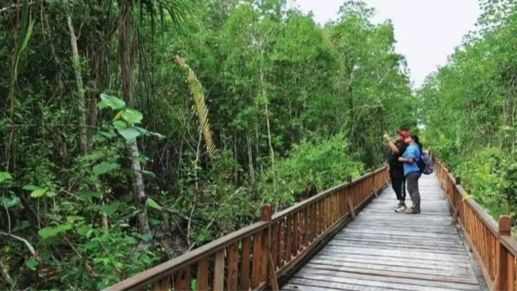     Katarniya Ghat: रोमांचक ट्रिप के लिए बेस्ट है कतर्नियाघाट, यहां दिखेंगे डोल्फिन से लेकर बंगाल टाइगर तक 