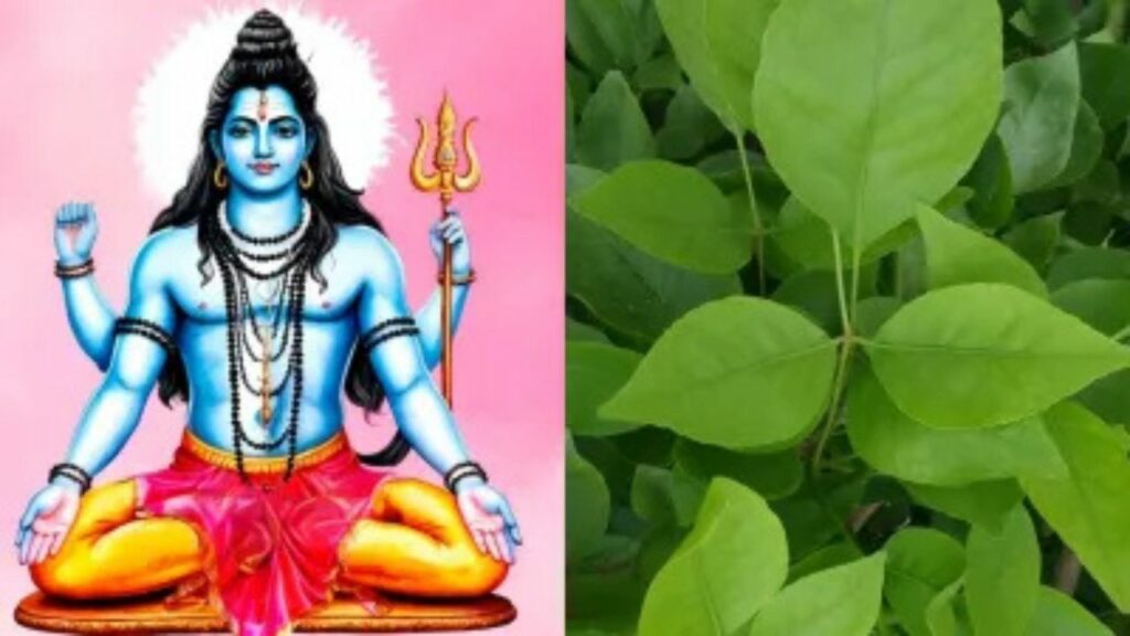   Lord Shiva : मात्र इस एक चीज को चढ़ाने से क्यों प्रसन्न हो जाते हैं भगवान शिव ? जानिए मान्यताएं 