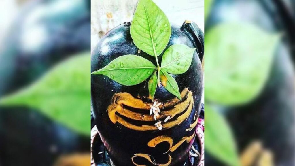   Lord Shiva : मात्र इस एक चीज को चढ़ाने से क्यों प्रसन्न हो जाते हैं भगवान शिव ? जानिए मान्यताएं 