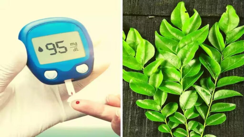 Curry Patta Benefits: सुबह खाली पेट करी पत्ता खाने से कंट्रोल होता है ब्लड शुगर 