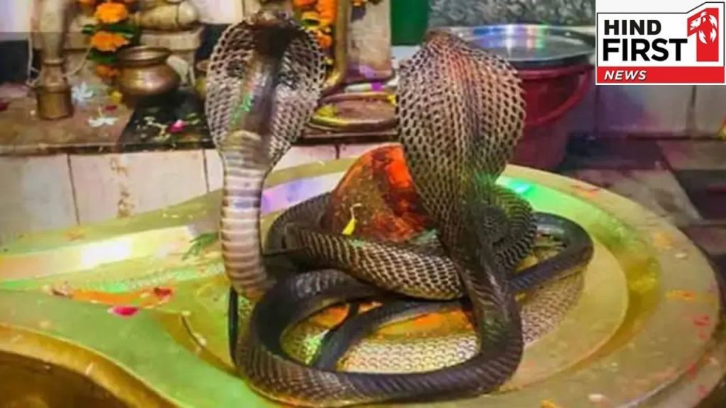 Nag Panchami 2025: आज है नाग पंचमी, नाग देवता को प्रसन्न करने के लिए इस चीज़ का लगाएं भोग 