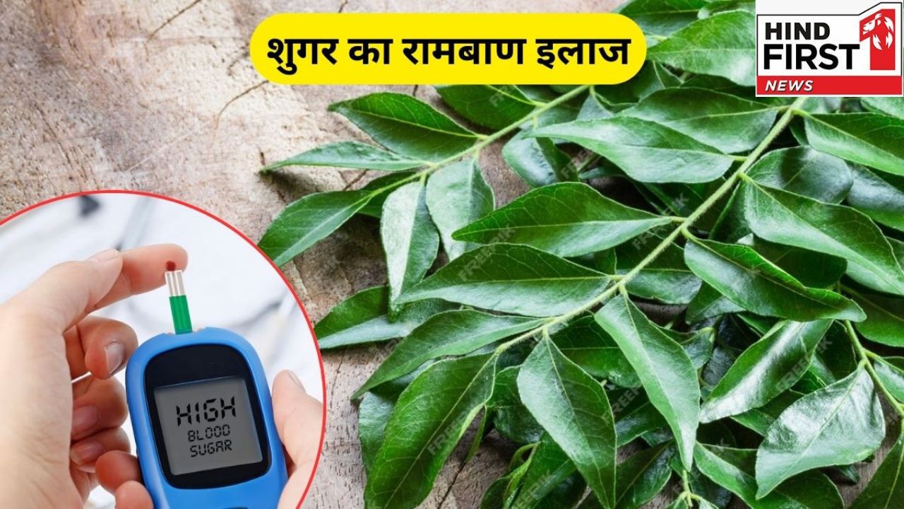 Curry Patta Benefits: सुबह खाली पेट करी पत्ता खाने से कंट्रोल होता है ब्लड शुगर