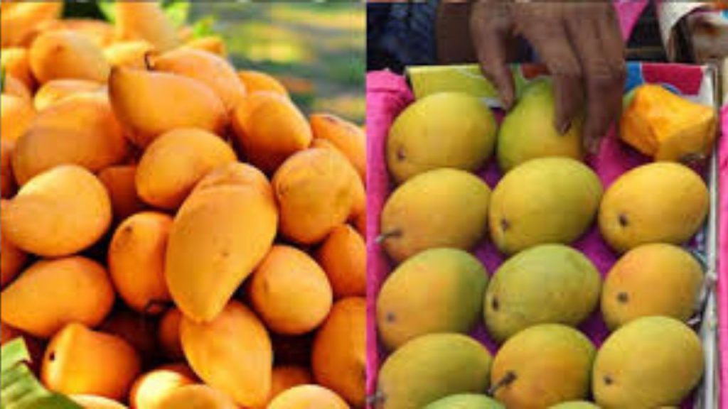 Vitamin D Fruits: मानसून के मौसम में नहीं मिलती है धुप, इन फलों से करें विटामिन डी की कमी को पूरा