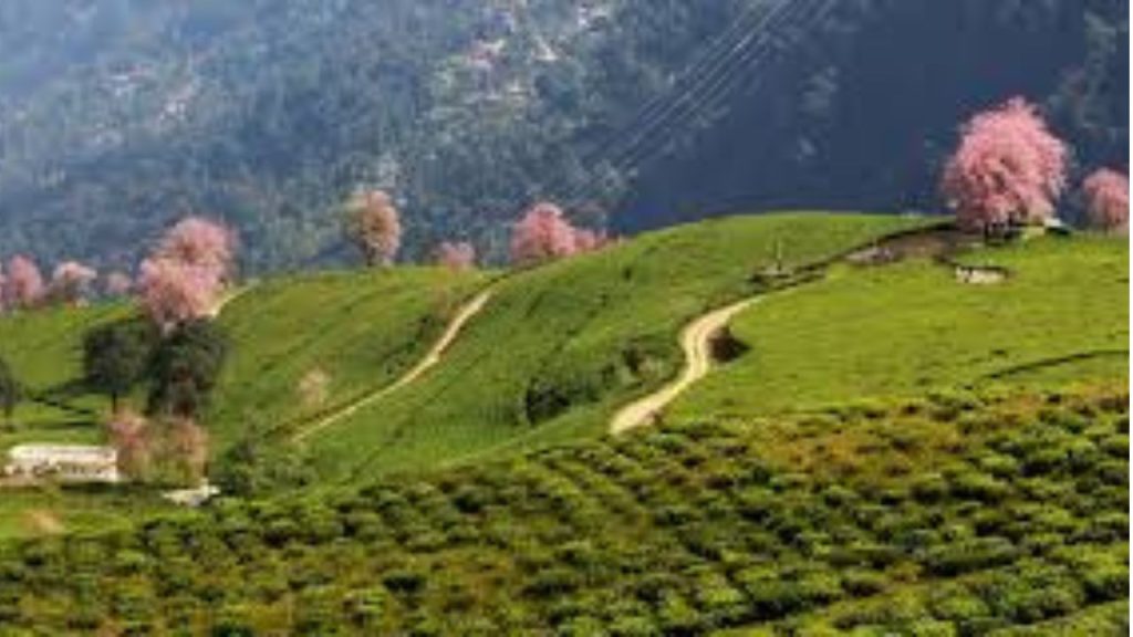 Hidden Himalayan Gems: गंगटोक के अलावा सिक्किम में ये पांच हिल स्टेशन भी हैं शानदार, जरूर जाएँ