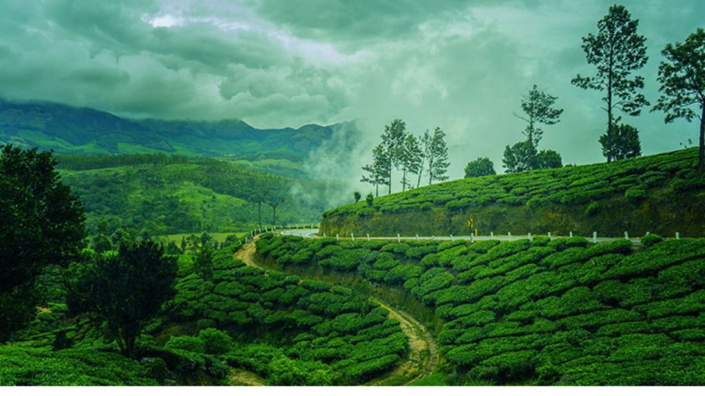 Best Places To Visit In August: अगस्त में घूमने के लिए ये हैं टॉप फाइव प्लेस, आज ही बनाएं प्लान