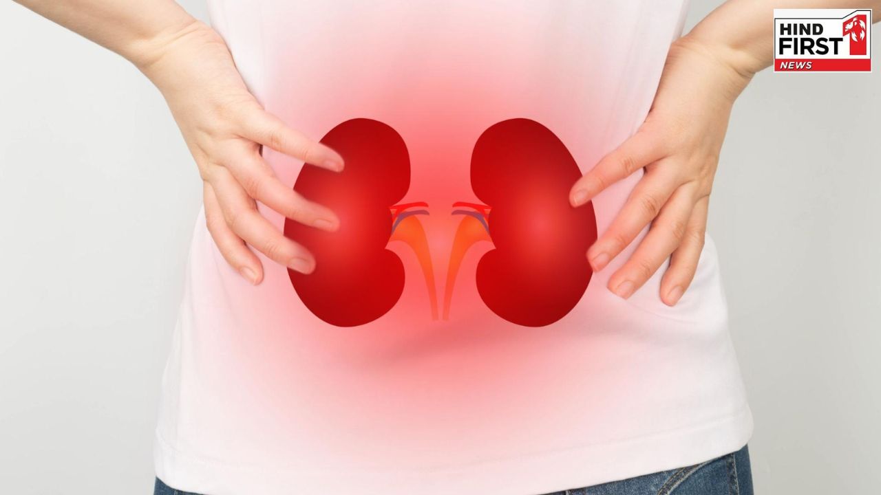 Kidney Disease: चेहरे और गर्दन पर नजर आते हैं किडनी रोग के लक्षण, आप भी जानें
