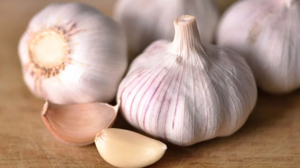 Garlic Clove Benefits: रोजाना लहसुन की तीन कलियां खाएं, होंगे फायदे ही फायदे 