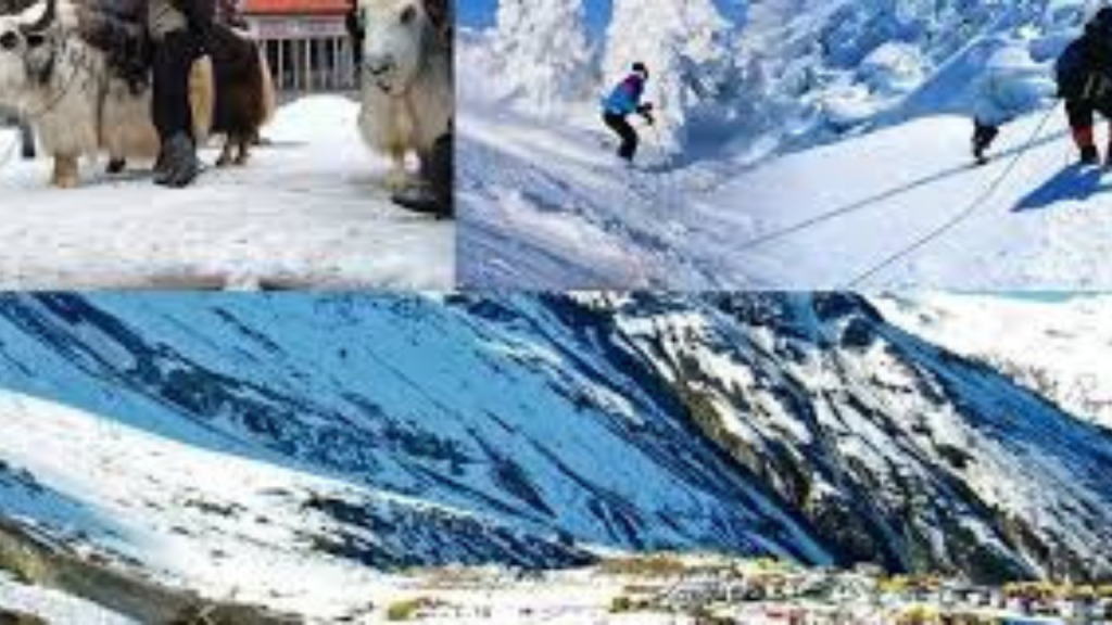 Shimla Vs Manali: दोनों में किस जगह जाएं, कौन है ज्यादा बेहतर? जानिये यहां   