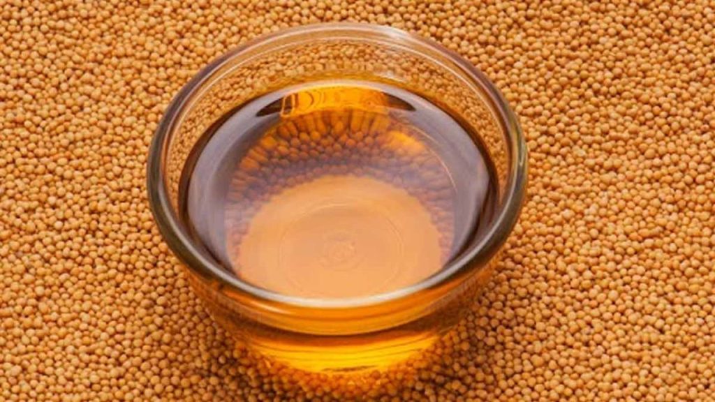  Shaniwaar Ke Upay: शनिवार के दिन पीपल की जड़ में जरूर चढ़ाएं ये 5 चीजें, होगी मनोकामना पूर्ति 