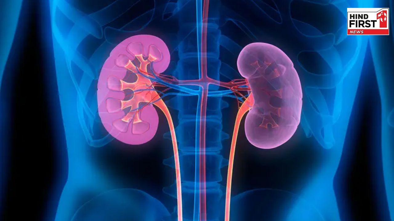 Kidney Damage Symptoms: सुबह के ये 5 लक्षण बताते हैं आपकी किडनी हो रही है ख़राब