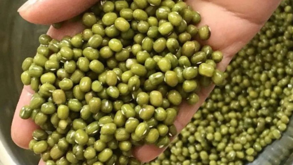 Wednesday Remedies: बुधवार के दिन हरी चीजों का दान बनाएगा आपको मालामाल 