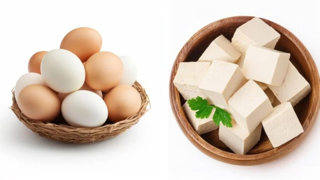   Boiled Egg vs Paneer: उबला अंडा या पनीर, कौन है प्रोटीन स्नैक के रूप में ज्यादा फायदेमंद?  
