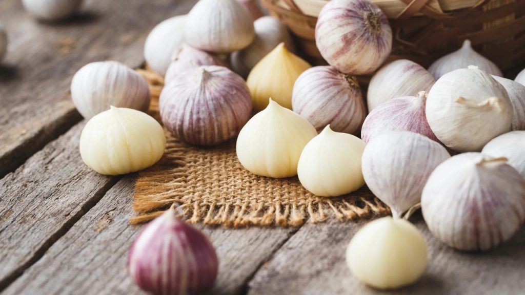 Garlic Clove Benefits: रोजाना लहसुन की तीन कलियां खाएं, होंगे फायदे ही फायदे 
