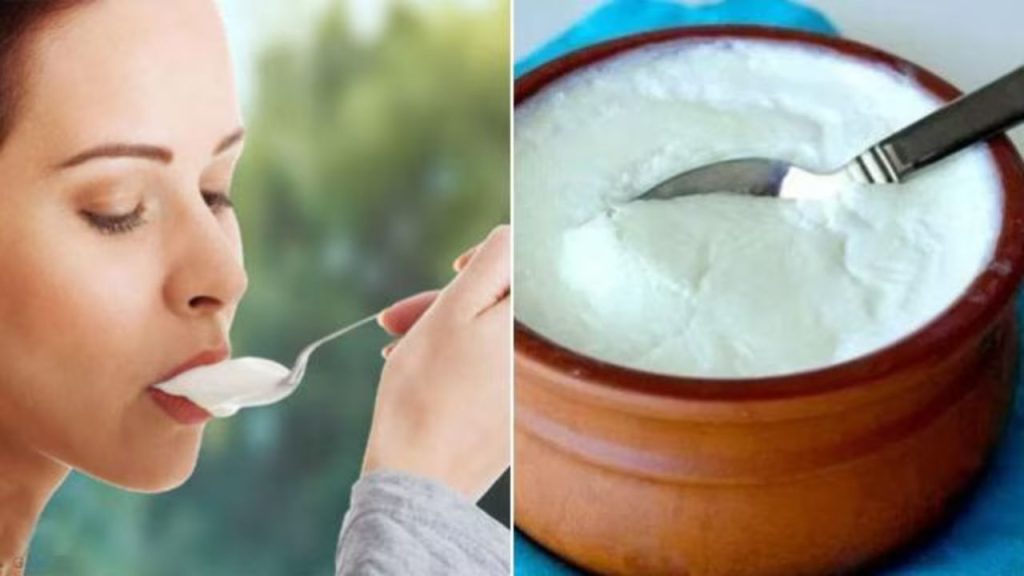  Gut Health: पेट को रखना है दुरुस्त तो डाइट में जरूर शामिल करें ये 5 फर्मेन्टेड फ़ूड 