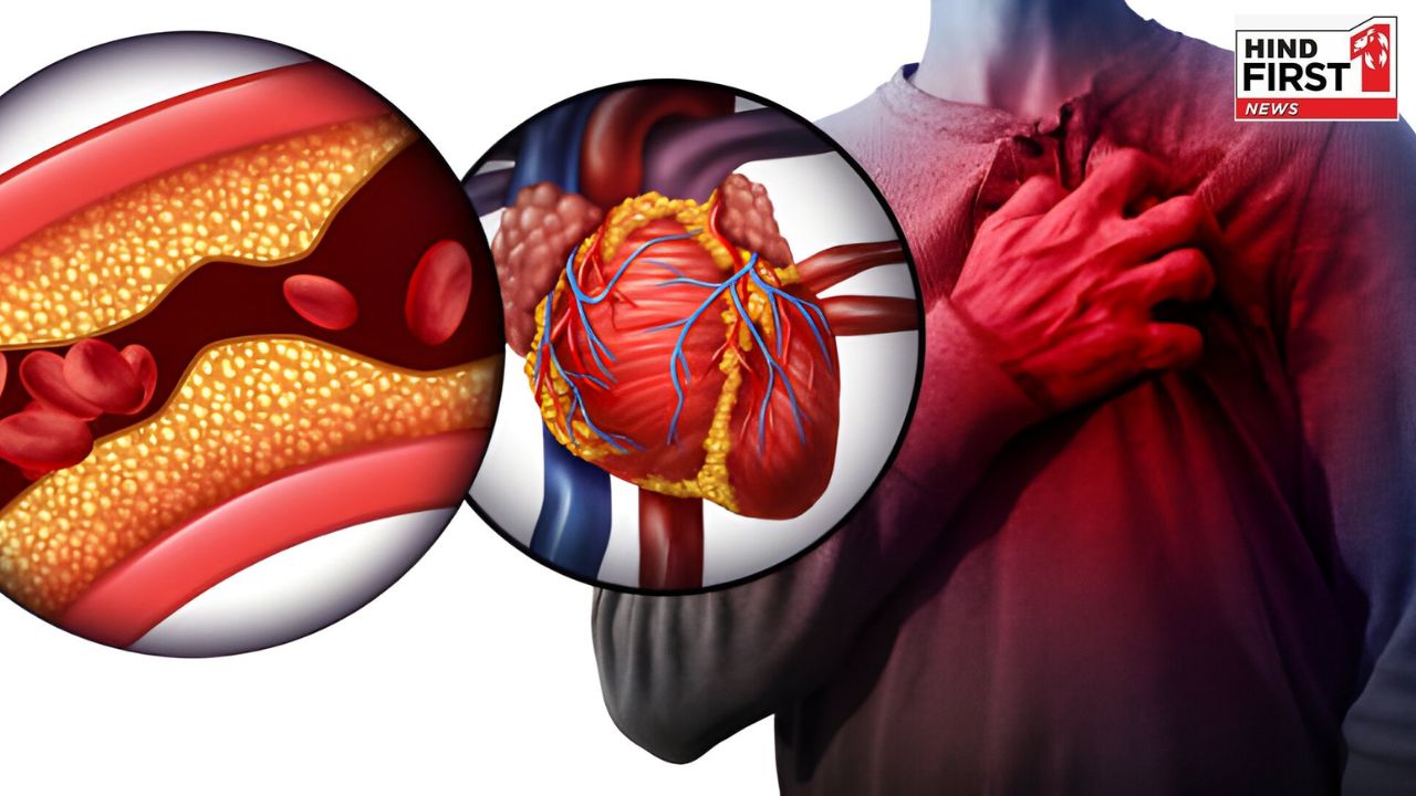 Healthy Heart: लाइफस्टाइल में ये पांच परिवर्तन करेंगे आपके हार्ट ब्लॉकेज को नैचुरली कम Healthy Heart: लाइफस्टाइल में ये पांच परिवर्तन करेंगे आपके हार्ट ब्लॉकेज को नैचुरली कम