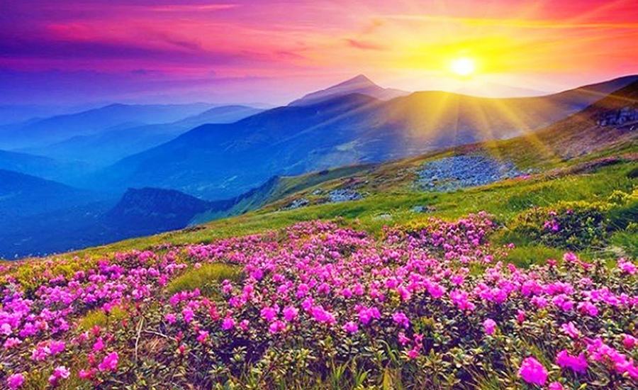 Best Places To Visit In August: अगस्त में घूमने के लिए ये हैं टॉप फाइव प्लेस, आज ही बनाएं प्लान