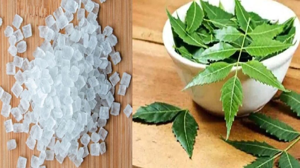 Neem-Mishri Benefits: पीएम मोदी भी करते हैं नीम-मिश्री का सेवन, जानें इसके फायदे   