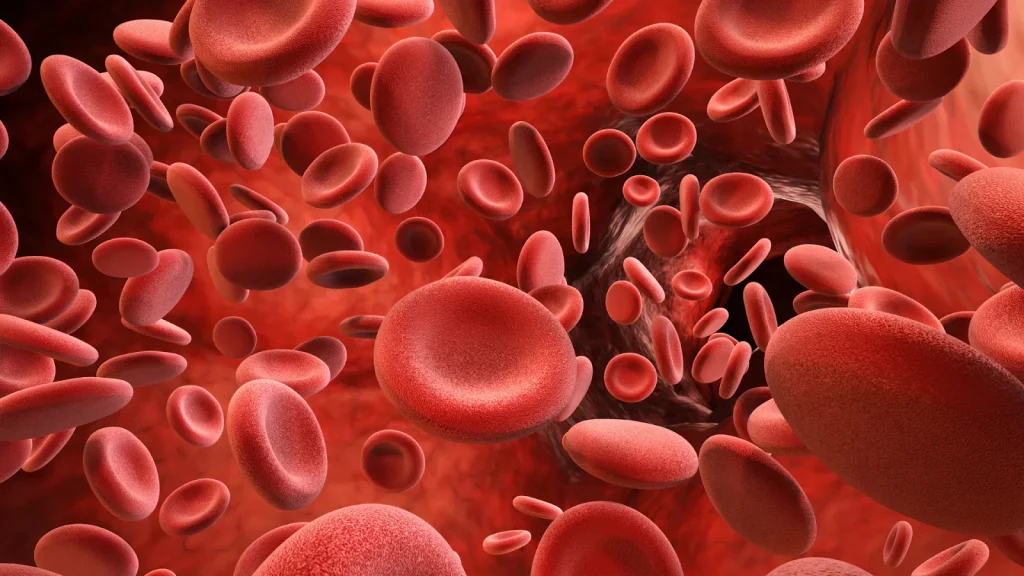 Hemoglobin: बॉडी में क्यों जरुरी है हीमोग्लोबिन, कौन से फ़ूड आइटम्स बढ़ाते हैं इसे? जानिए विस्तार से