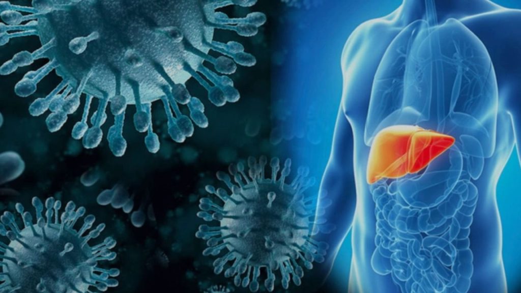   Infection in Monsoon: मानसून में बढ़ रहे हैं हेपेटाइटिस A और E के मामले, जानें कैसे रहें सुरक्षित  