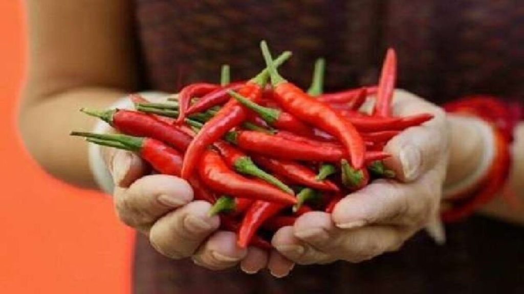   Red Chilli Benefits: लाल मिर्च खाने के इन 5 फायदों को जानकर दांतों तले दबा लेंगे उंगली