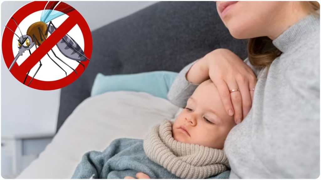   Dengue Precaution: बारिश में डेंगू के बढ़ते खतरे के बीच जरूर बरतें ये सावधानियां 