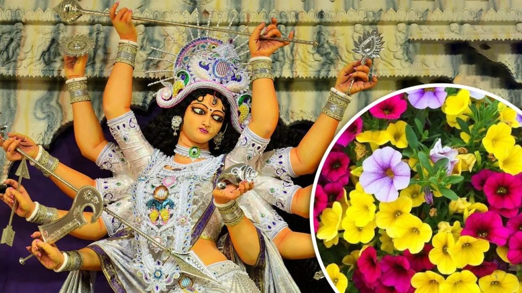  Shardiya Navratri 2025 Flowers: नवरात्रि के नौ दिन, नौ देवियों को चढ़ाएं ये नौ फूल, माता होंगी प्रसन्न 