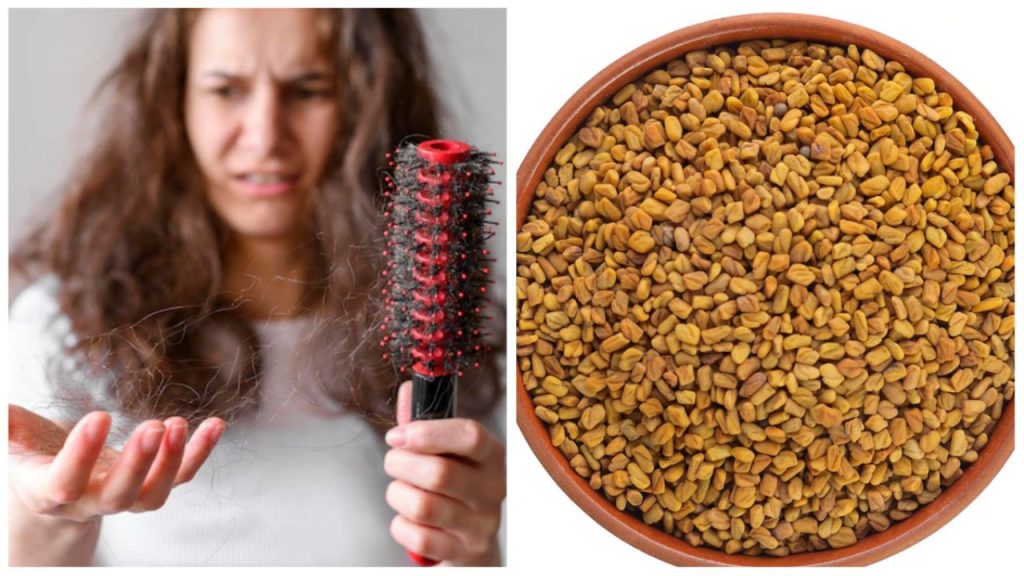 Methi Dana Benefits: बालों को रखना है स्वस्थ तो डाइट में जरूर शामिल करें ये एक चीज