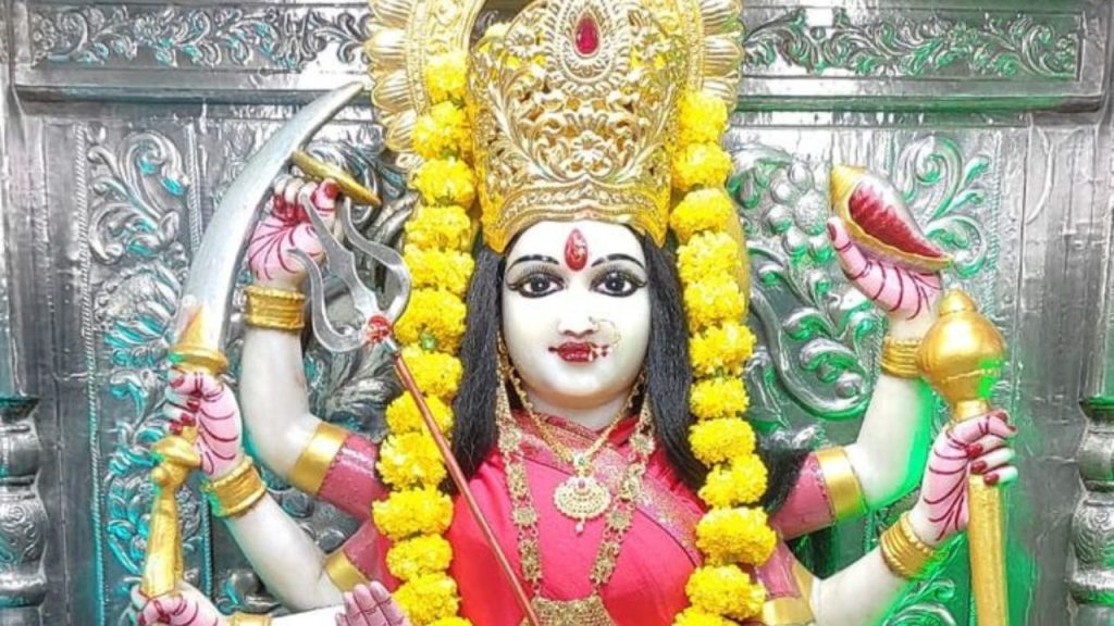  Shardiya Navratri 2025 Flowers: नवरात्रि के नौ दिन, नौ देवियों को चढ़ाएं ये नौ फूल, माता होंगी प्रसन्न 