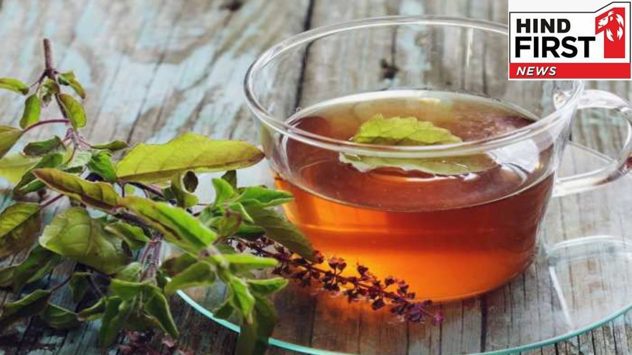 Tulsi Benefits: रोजाना खाली पेट पीजिये तुलसी की चाय हमेशा रहेंगे स्ट्रेस फ्री Tulsi Benefits: रोजाना खाली पेट पीजिये तुलसी की चाय हमेशा रहेंगे स्ट्रेस फ्री