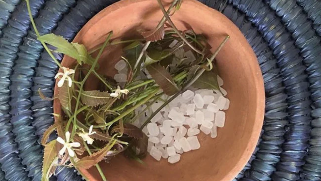 Neem-Mishri Benefits: पीएम मोदी भी करते हैं नीम-मिश्री का सेवन, जानें इसके फायदे   