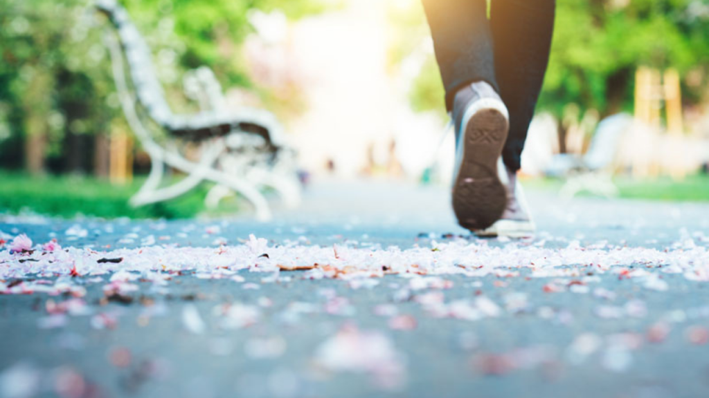 Blood Pressure Control Tips: दिन में चलें बस इतने स्टेप, आपका बीपी रहेगा कंट्रोल में   