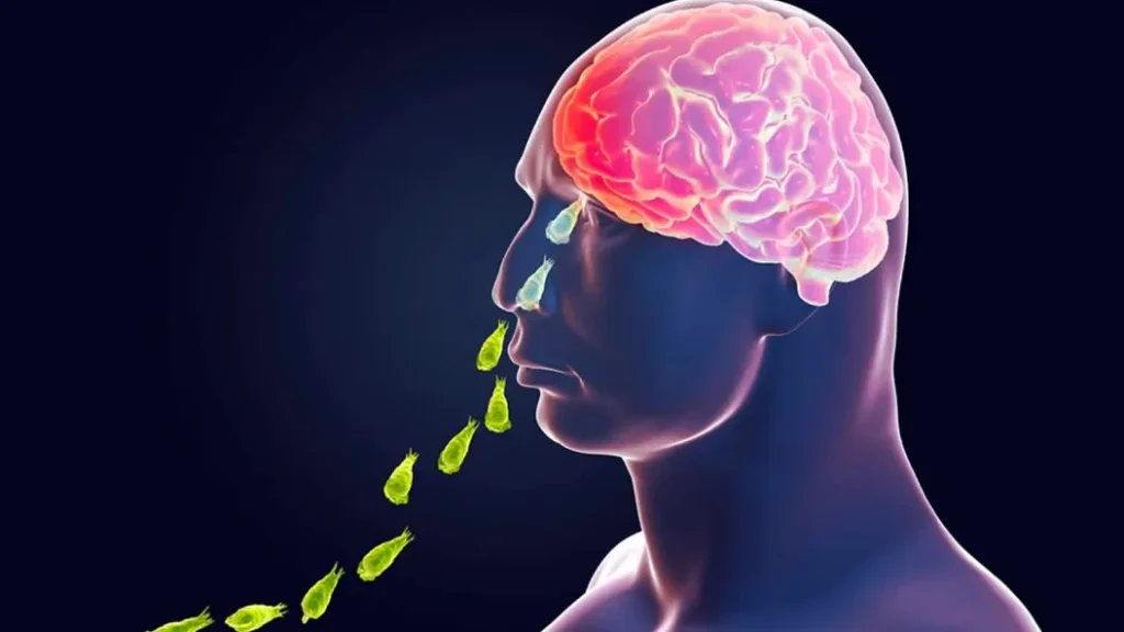 Brain Eating Amoeba: केरल में बढ़ा ब्रेन ईटिंग अमीबा का खतरा, जानें क्या है यह बीमारी   
