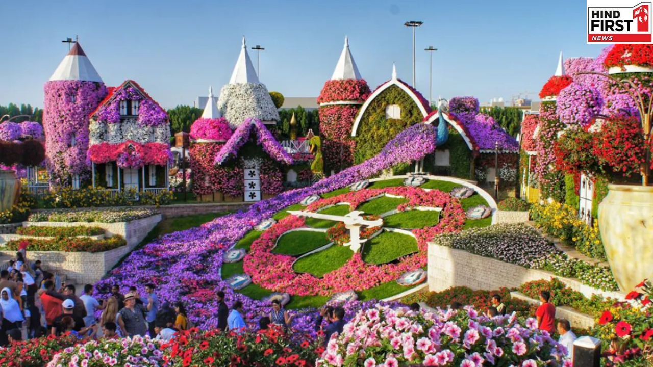 Dubai Miracle Garden: फिर खुल गया दुबई मिरेकल गार्डन, जानें घूमने का समय और टिकट की कीमत