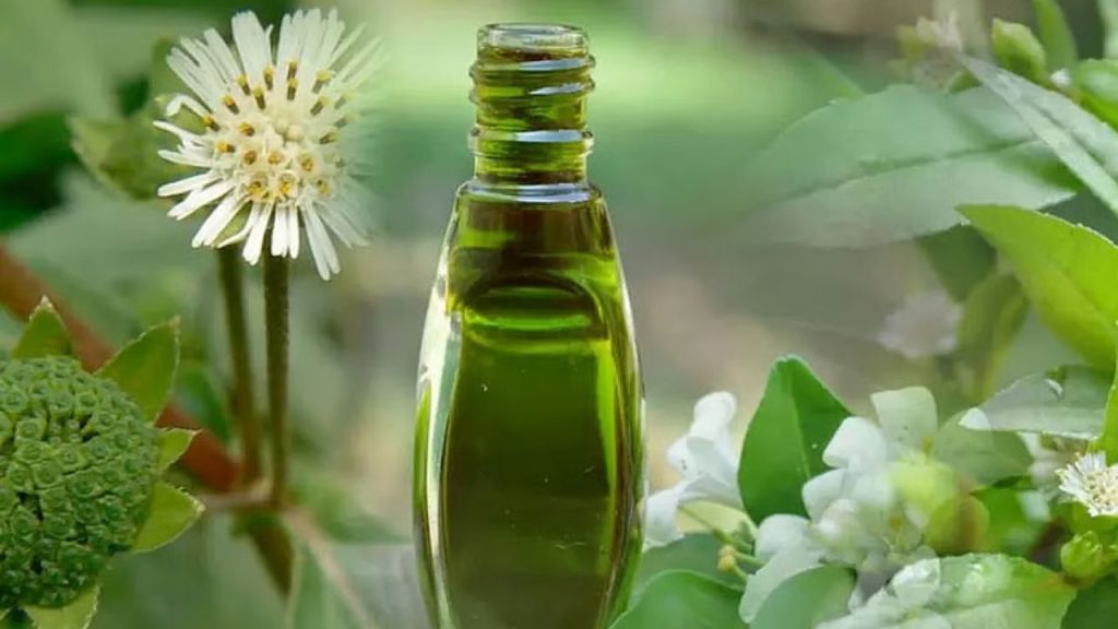  Best Hair Oil: काले घने लंबे बालों की है तमन्ना तो ये 5 तेल करेंगे आपकी मदद 