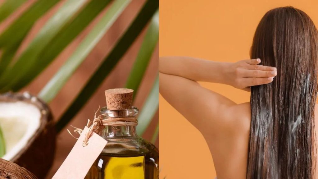    Best Hair Oil: काले घने लंबे बालों की है तमन्ना तो ये 5 तेल करेंगे आपकी मदद 