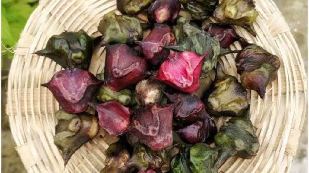 Tulsi Vivaah 2025: तुलसी विवाह पर जरूर चढ़ाएं ये प्रसाद, वरना अधूरी रह जाएगी पूजा 