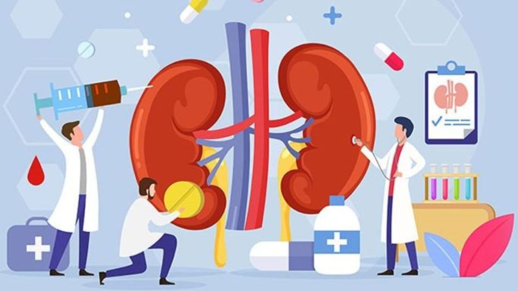 Satish Shah Death: किडनी ट्रांसप्लांट या डायलिसिस, जानें क्या है बेहतर   