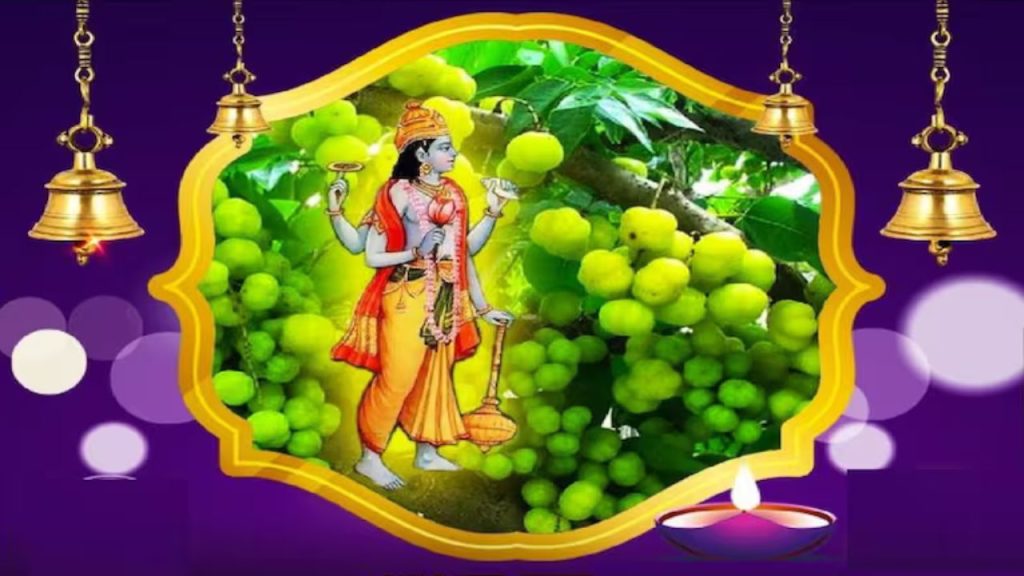     Amla Navmi 2025: इस दिन है आवंला नवमी, जरूर करें ये काम बनी रहेगी समृद्धि 