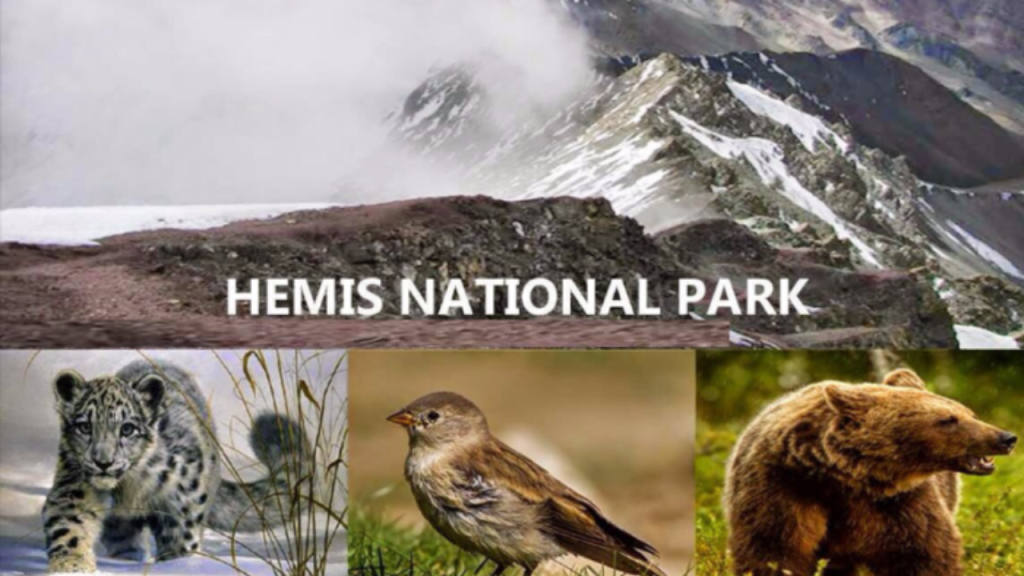 Largest National Park: ये है भारत का सबसे बड़ा नेशनल पार्क, स्नो लेपर्ड के लिए है मशहूर, जरूर देखें    