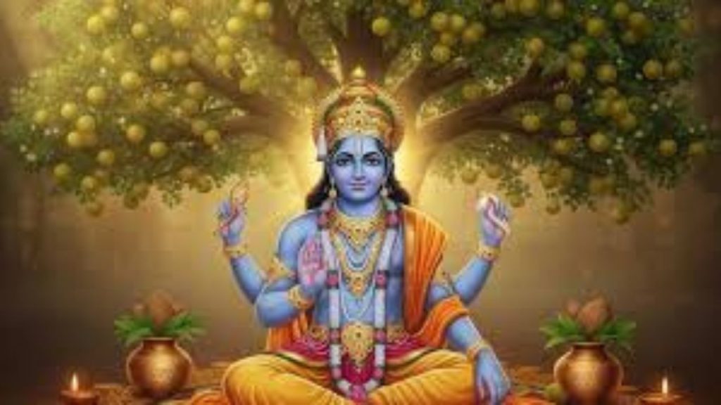     Amla Navmi 2025: इस दिन है आवंला नवमी, जरूर करें ये काम बनी रहेगी समृद्धि 