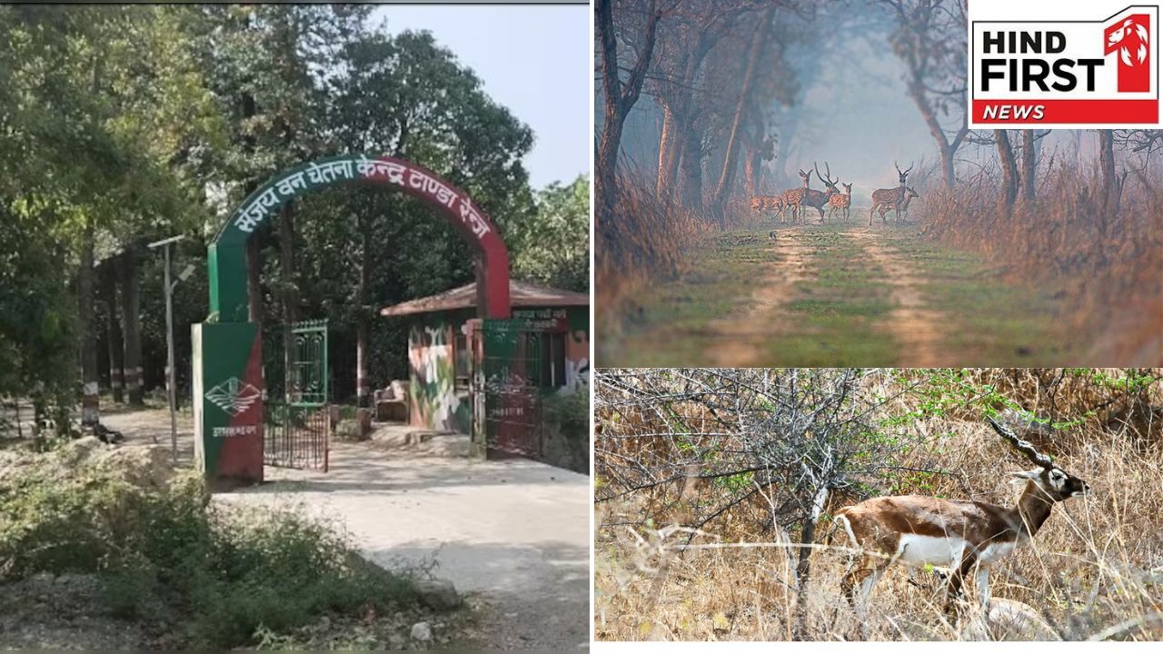 Hidden Forests in Delhi: दिल्ली के नजदीक हैं ये पांच छुपे हुए वन क्षेत्र, एक बार जरूर जाएं