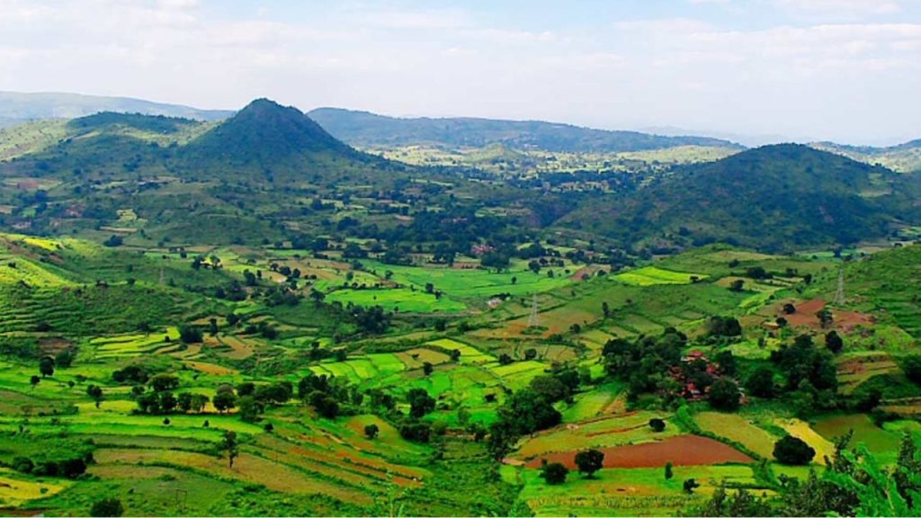 Hidden Gems In South India: दक्षिण भारत की ये 5 जगहें सर्दियों में घूमने के लिए हैं परफेक्ट