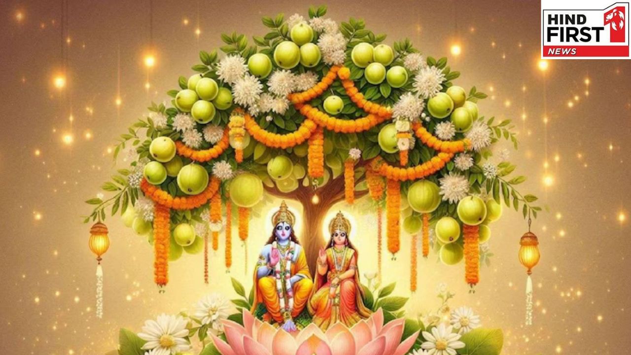 Amla Navmi 2025: इस दिन है आवंला नवमी, जरूर करें ये काम बनी रहेगी समृद्धि Amla Navmi 2025: इस दिन है आवंला नवमी, जरूर करें ये काम बनी रहेगी समृद्धि