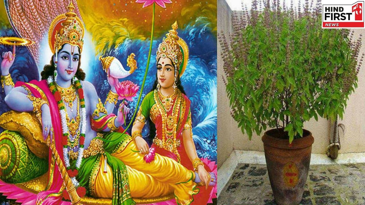 November Vrat Tyohar List: देव उठनी एकादशी से देव दीपवाली तक, देखें व्रत त्योहारों की लिस्ट November Vrat Tyohar List: देव उठनी एकादशी से देव दीपवाली तक, देखें व्रत त्योहारों की लिस्ट