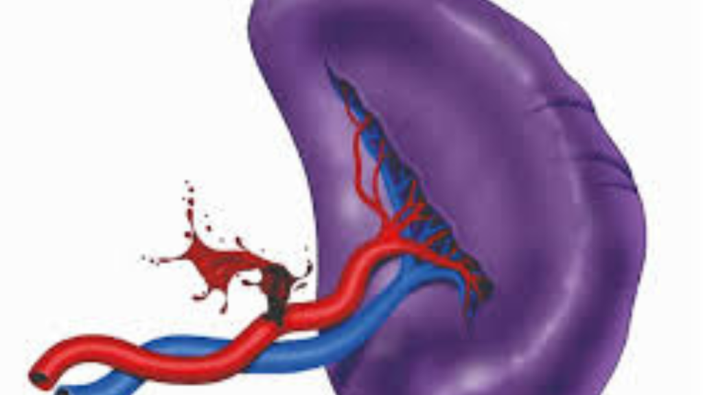 Shreyas Iyers Spleen Injury: स्प्लीन की चोट का क्या मतलब है, यह होती है कितनी गंभीर? जानें इससे उबरने के तरीके