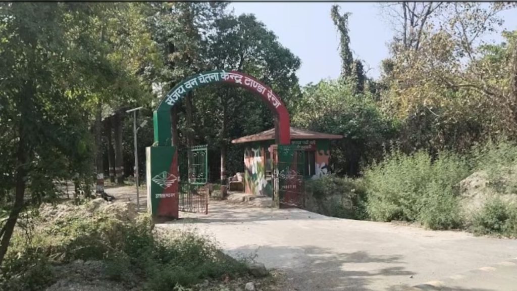   Hidden Forests in Delhi: दिल्ली के नजदीक हैं ये पांच छुपे हुए वन क्षेत्र, एक बार जरूर जाएं