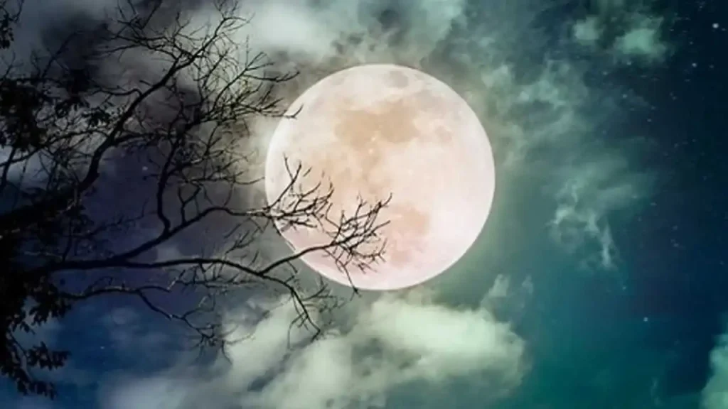 Margashirsha Purnima 2025: जानें तिथि, महत्व, अनुष्ठान और क्यों है यह दिन इतना महत्वपूर्ण 