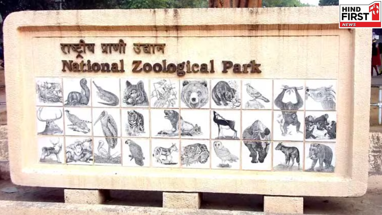 Delhi Zoo: दो महीने बंद रहने के बाद दिल्ली चिड़ियाघर फिर से खुला, जानें क्या है नया