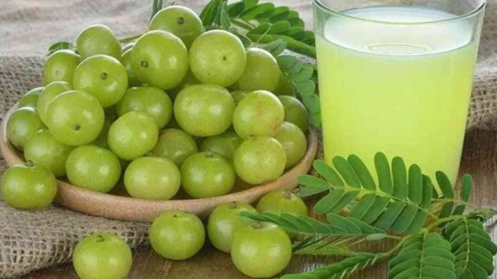 Amla Benefits: ठंड के मौसम में खुद को रखना हैं स्वस्थ, तो रोज़ जरूर खाएं आवंला 